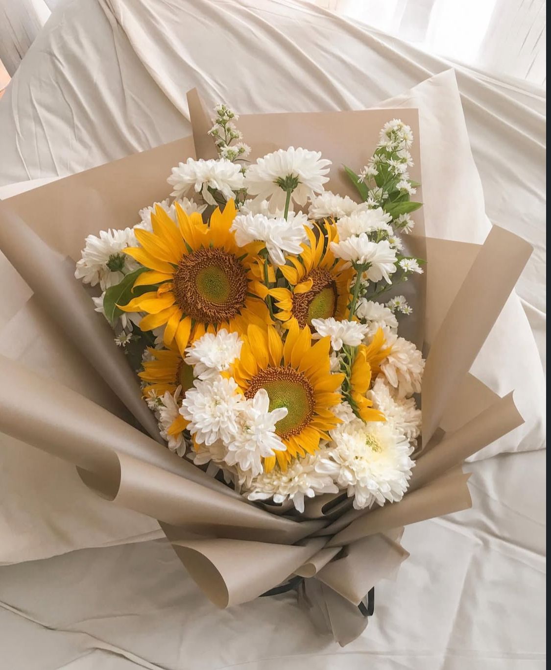 WhatsApp Image 2025-12-09 at 4.55.38 PM (1)